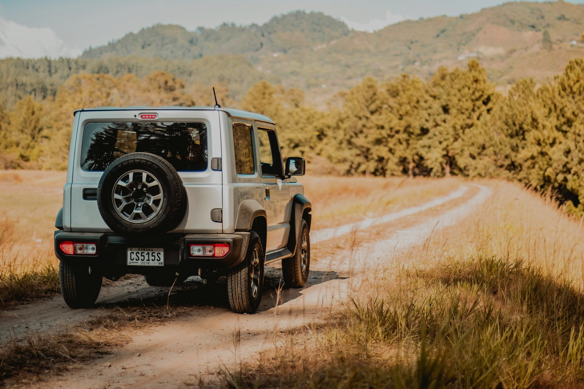 Silver SUV driving on a dirt road in a field; trees and mountains in the background.