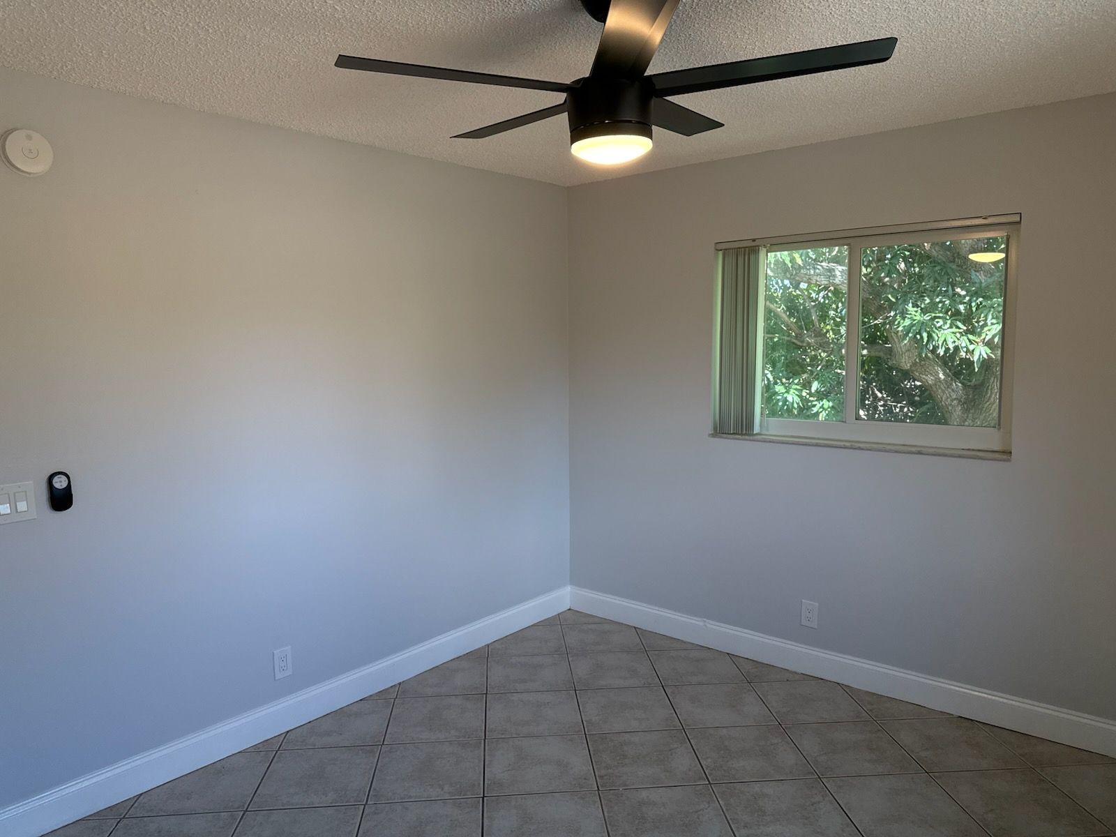 Photo of a room with a tree in the view of the window