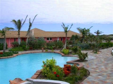 A large swimming pool in front of a pink house