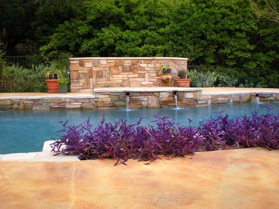 A swimming pool with purple flowers in front of it