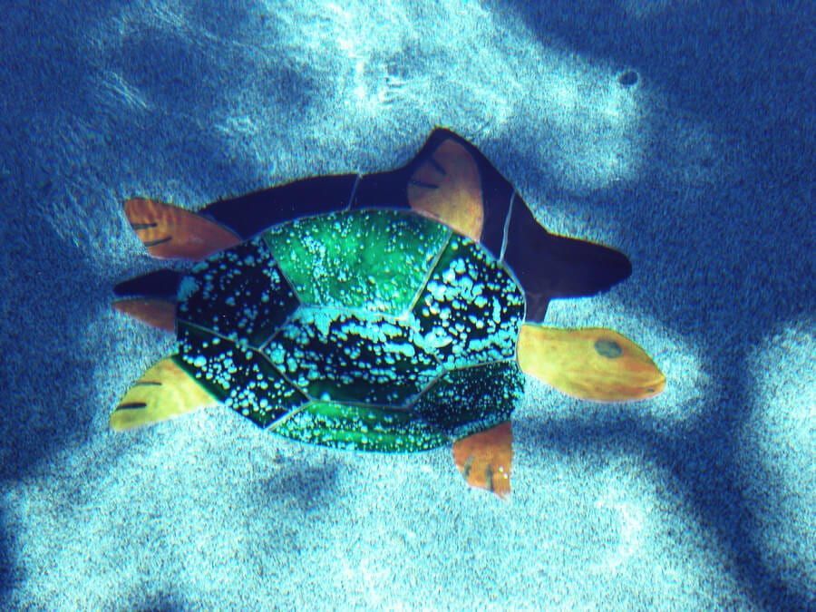 A green and yellow turtle is swimming in the water