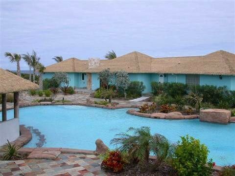 A large swimming pool in front of a house with a thatched roof