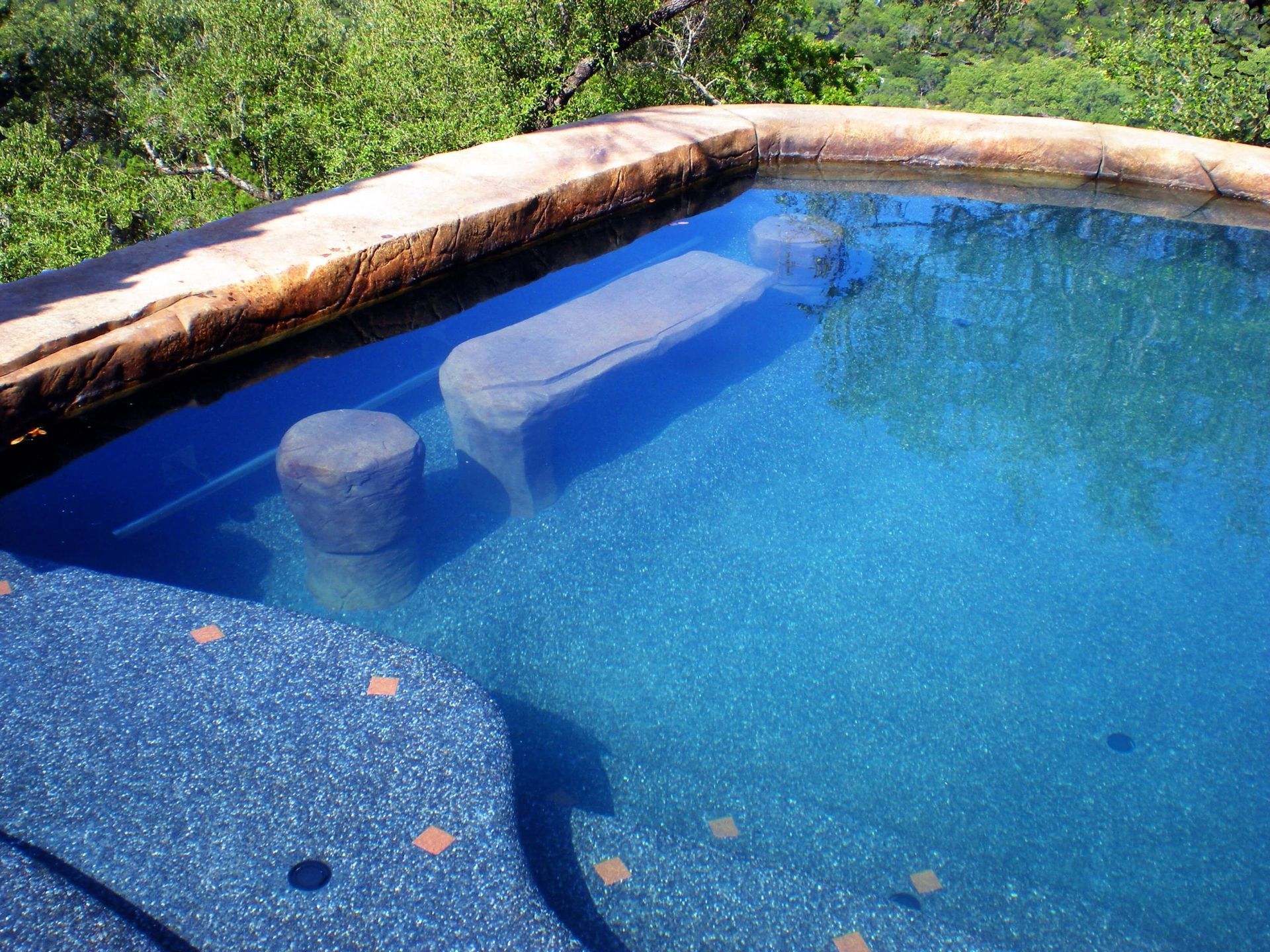 A large swimming pool with trees in the background