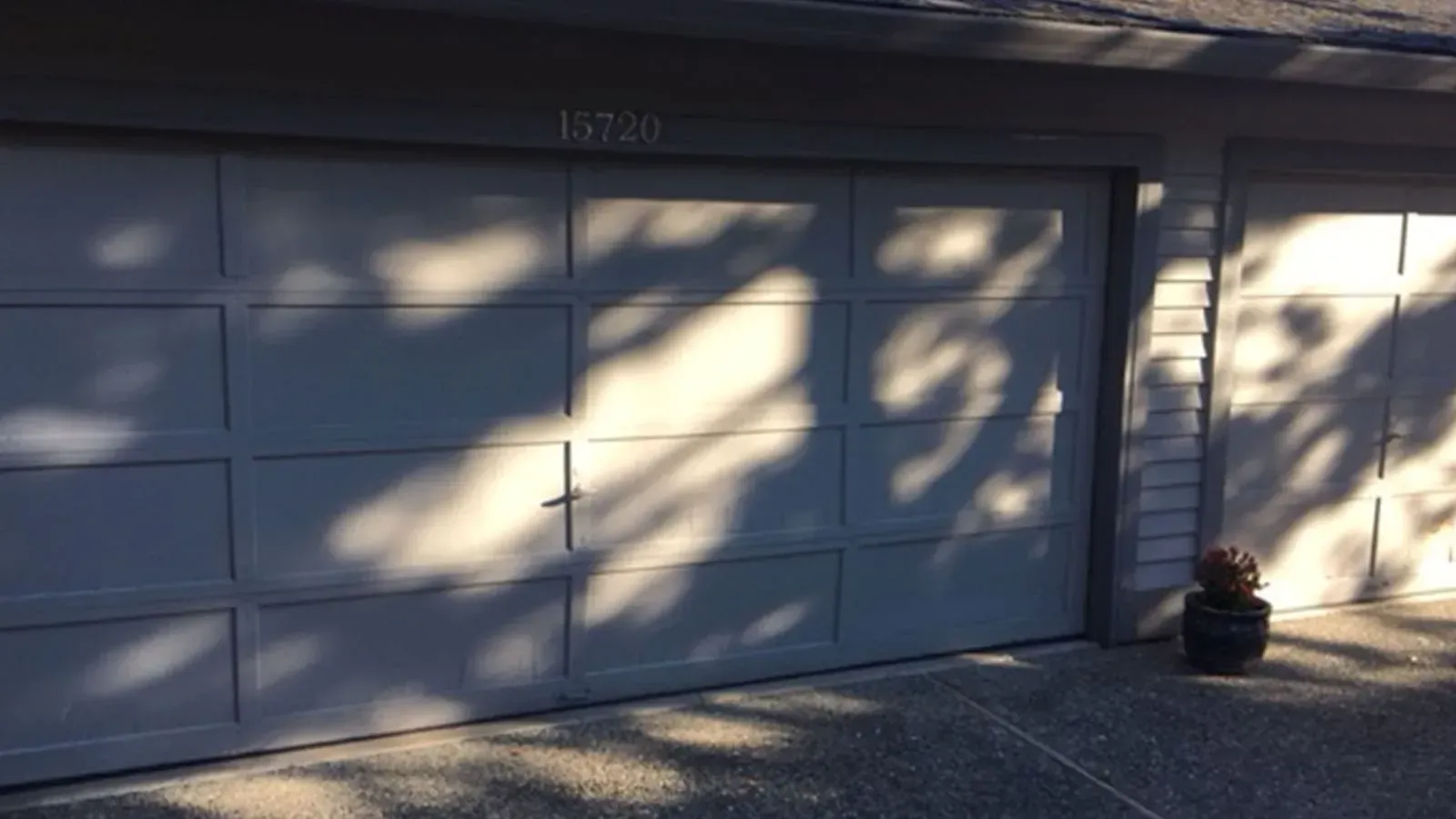A garage exterior with white panelled doors featuring dappled tree shadows and a small plant in a pot nearby.