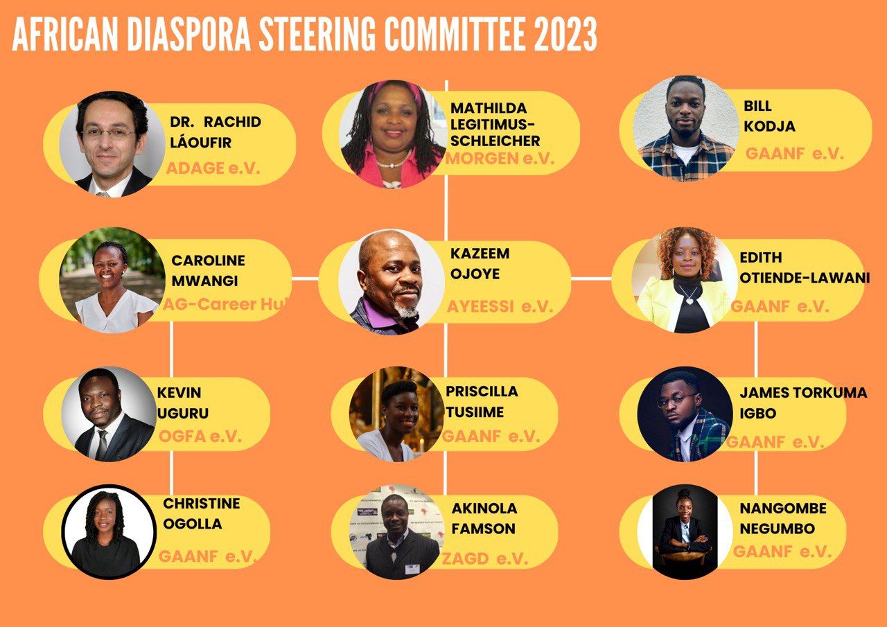 A diagram of the african diaspora steering committee in 2023
