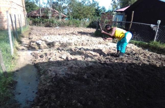 A woman in a yellow shirt is digging in the dirt