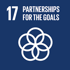A blue background with a white flower and the words `` partnerships for the goals ''.