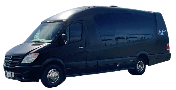 A black mercedes sprinter van is shown on a white background.