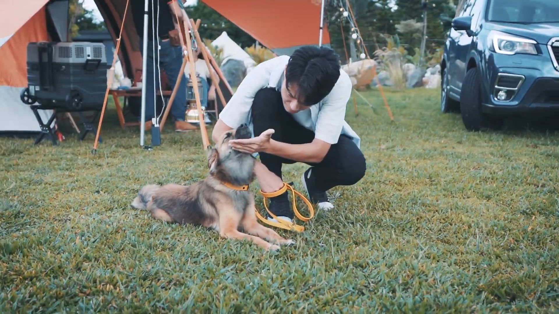 一名男子在露營地撫摸一隻狗；背景中有帳篷和汽車。