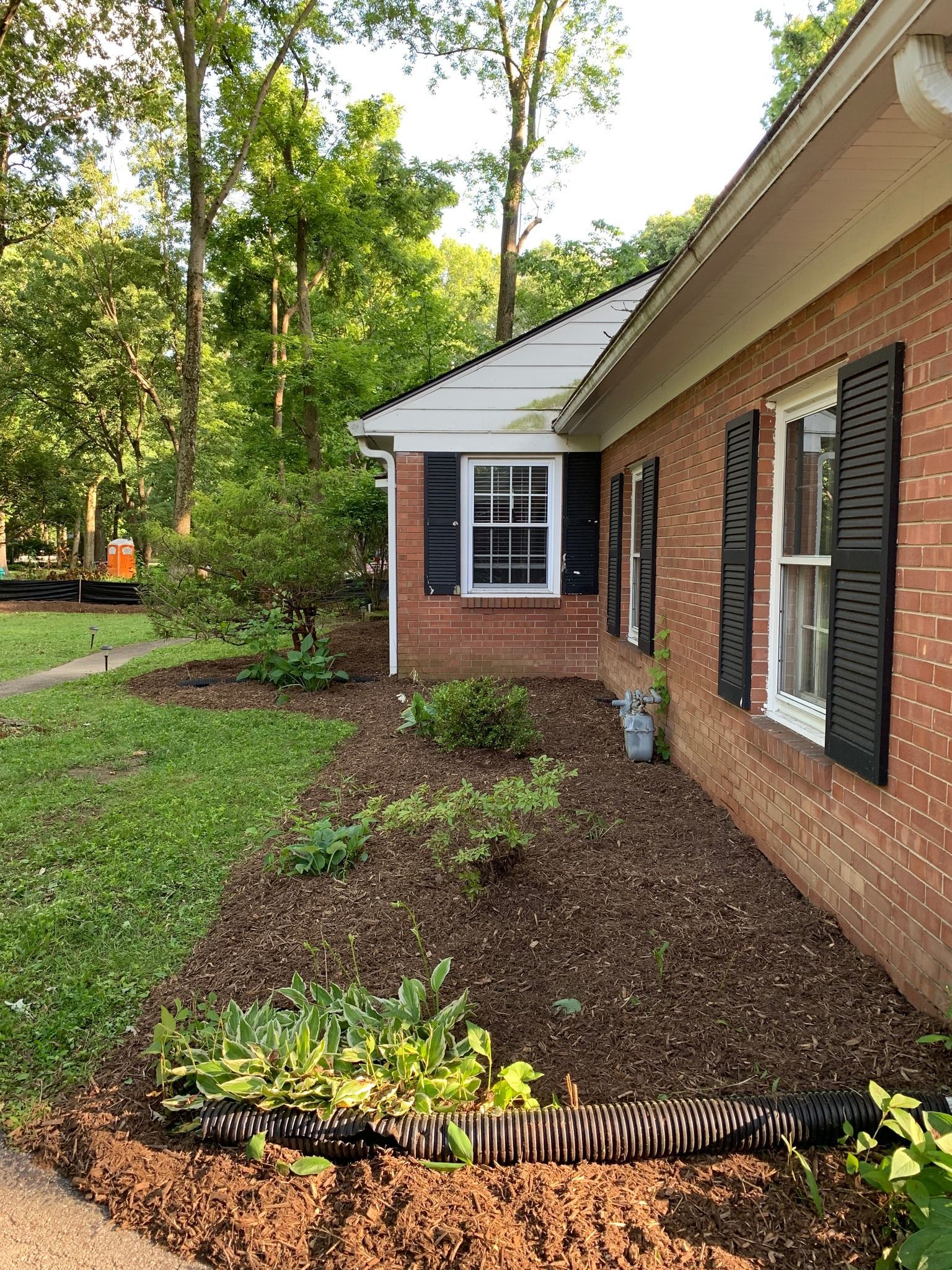 Brick house with black shutters and mulch landscaping.
