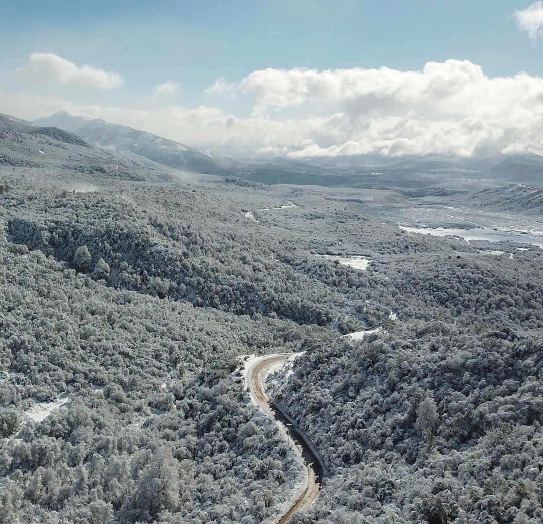 Una vista aérea de una carretera que atraviesa un bosque nevado.