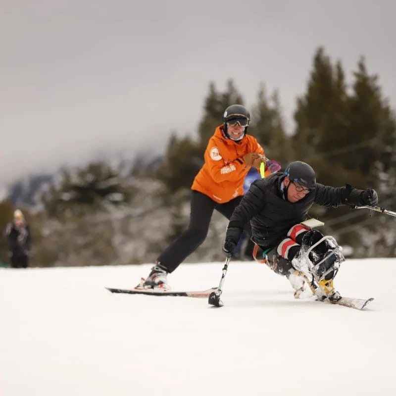 Una vista aérea de una casa en la nieve rodeada de árboles.