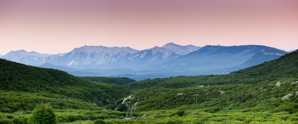 Un valle con montañas al fondo y árboles en primer plano.