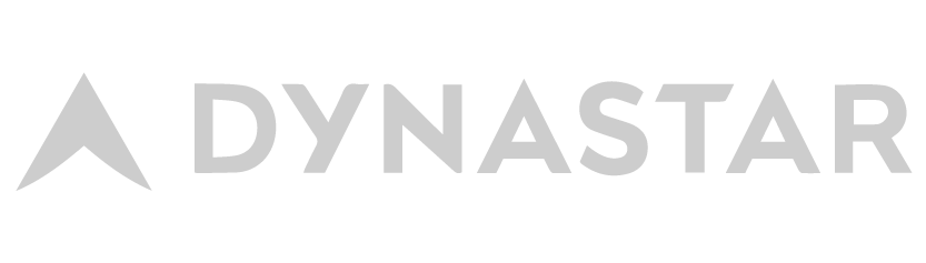 Un logotipo gris para una empresa llamada Dynastar sobre un fondo blanco.
