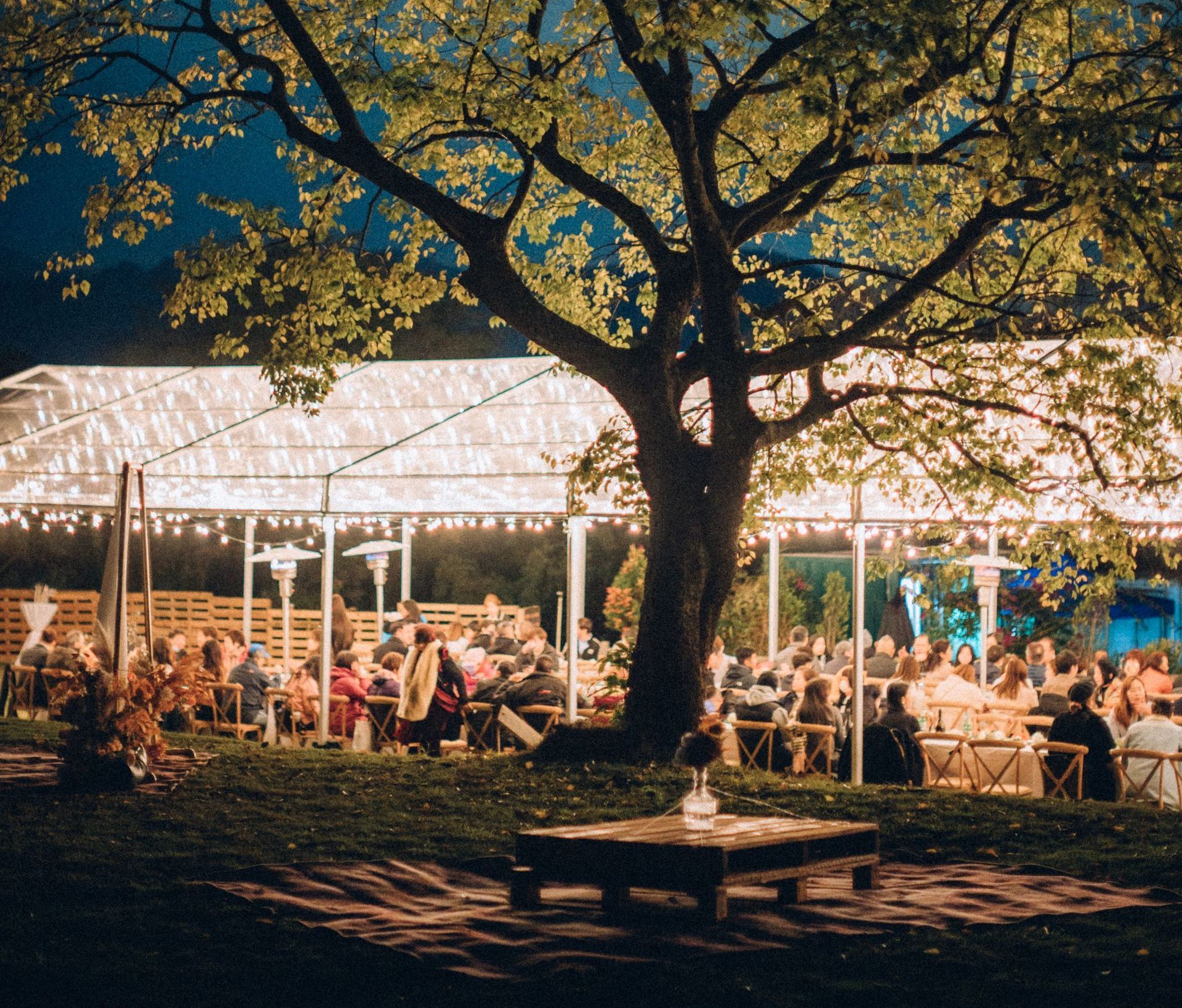Nighttime outdoor event under a lit tent; people seated at tables, a tree in the foreground.