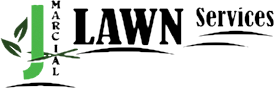 The letter l is in a circle on a white background.