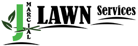 The letter l is in a circle on a white background.