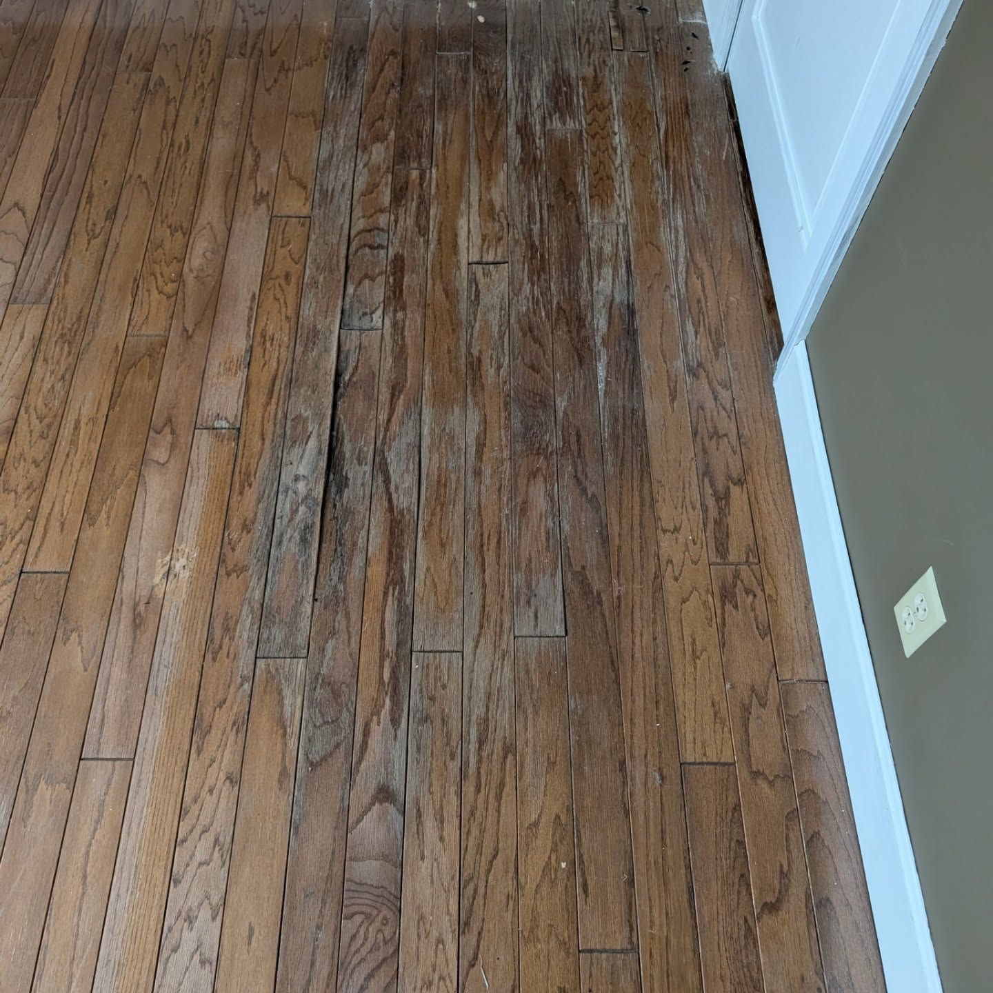 Scuffed hardwood floor in a hallway with white baseboards and a wall outlet