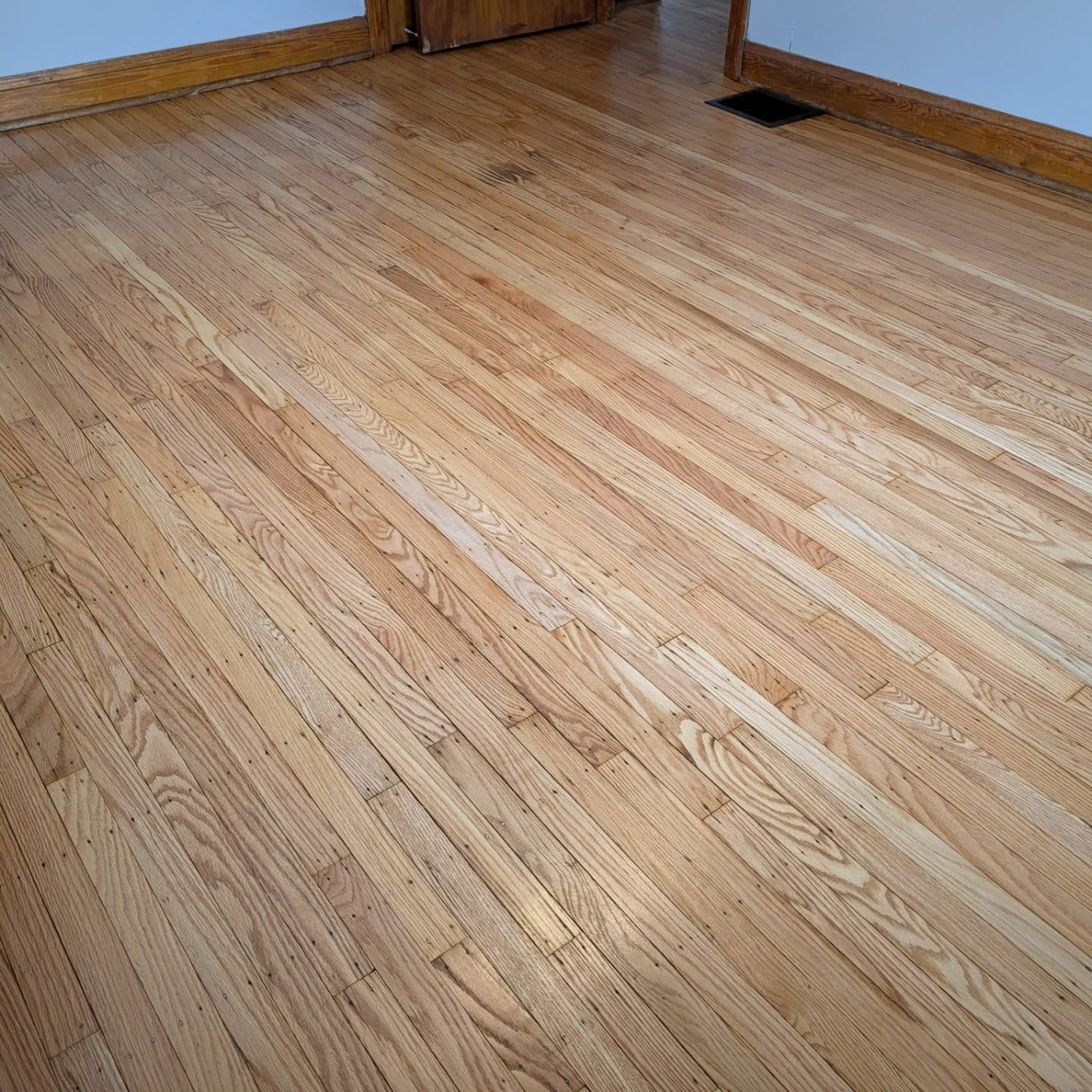 Empty hardwood floor in a room with baseboards and a floor vent.