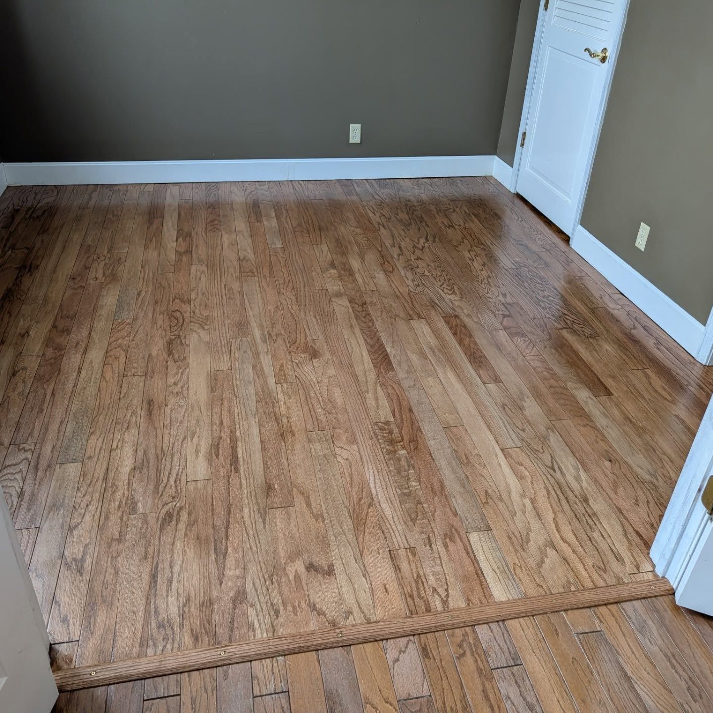 Empty room with gray walls, wood floor, white baseboards, and a white door.