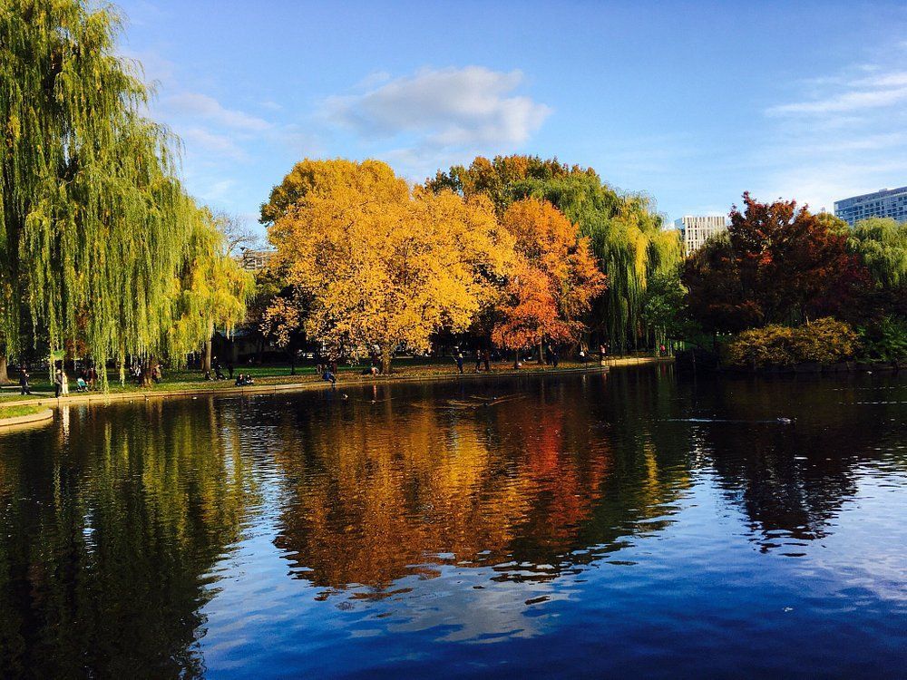 A lake in a park with trees in the background