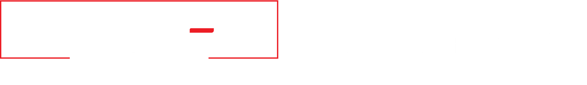 Logo for Carter Insurance Associates: white text 