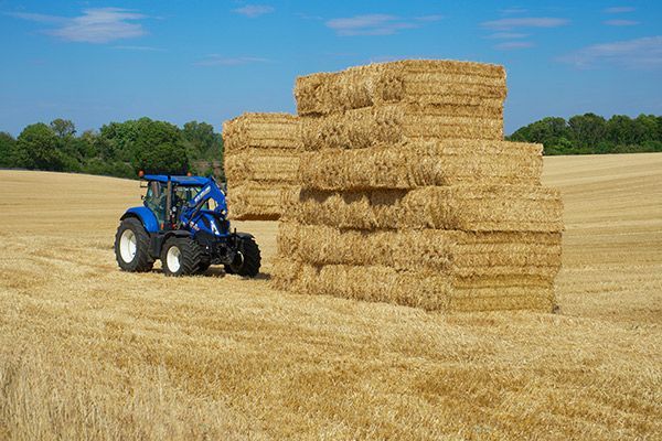 A blue tractor on a field stacking hay bales on a sunny day.