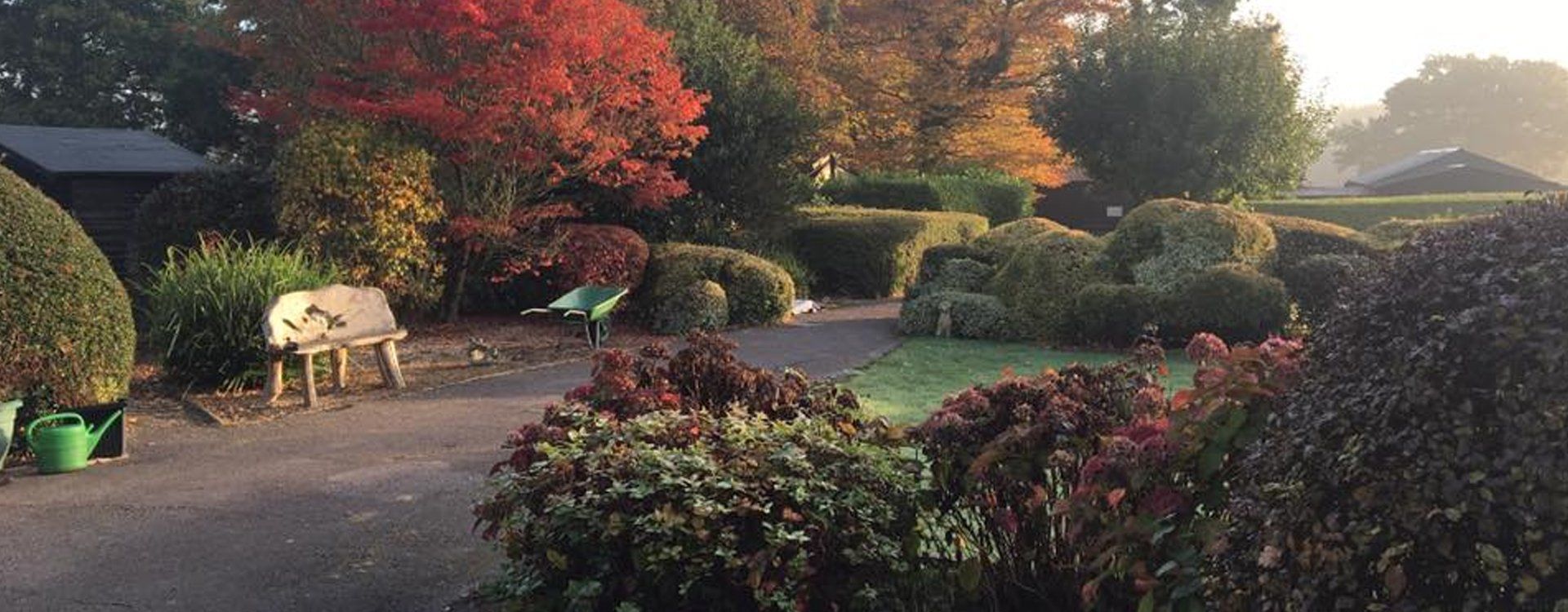 Spacious dog kennels