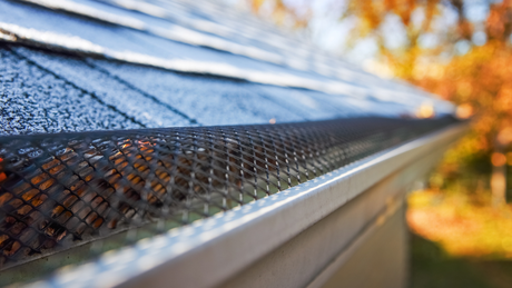 Gutter with mesh cover on a roof; filled with leaves, against a blurred autumn background.
