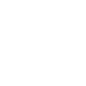 Logo G.I. Edil