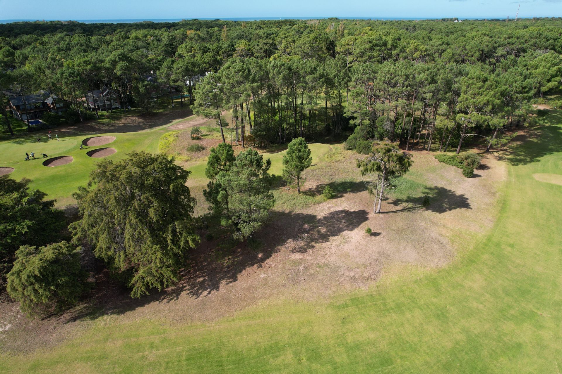 Vista aérea de un campo de golf bordeado de densos árboles verdes, día soleado.