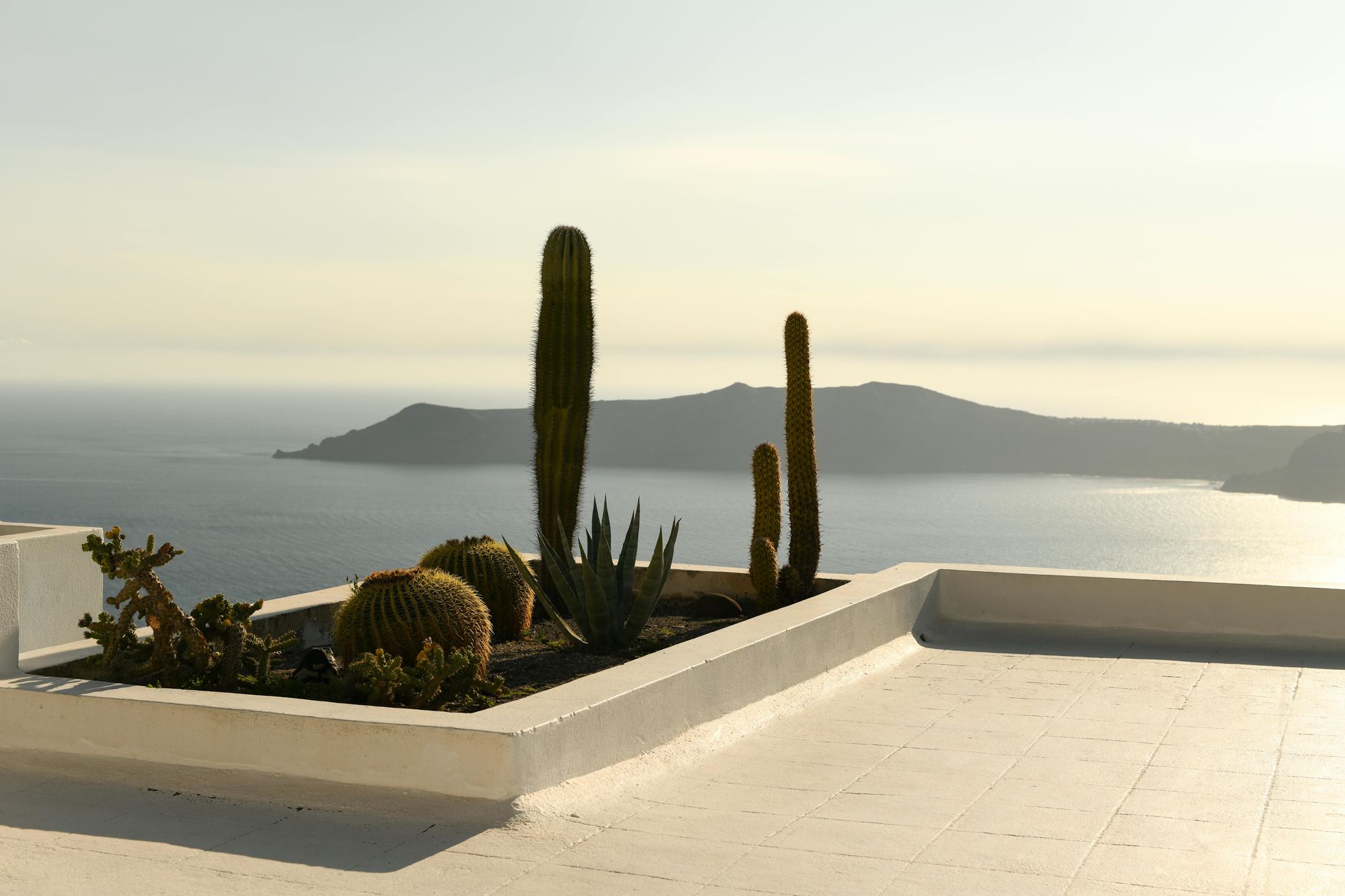 Cactus garden on a white rooftop overlooking a calm sea and distant islands under a bright sky.