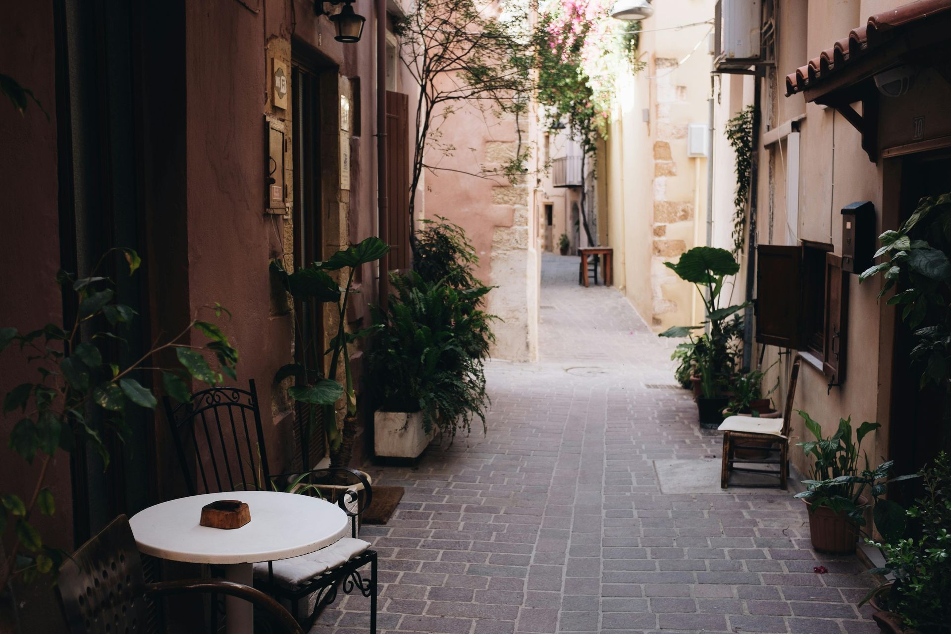 Narrow cobblestone alley with potted plants and cafe tables.