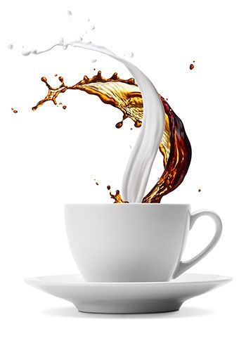 The Gourmet Coffee Company