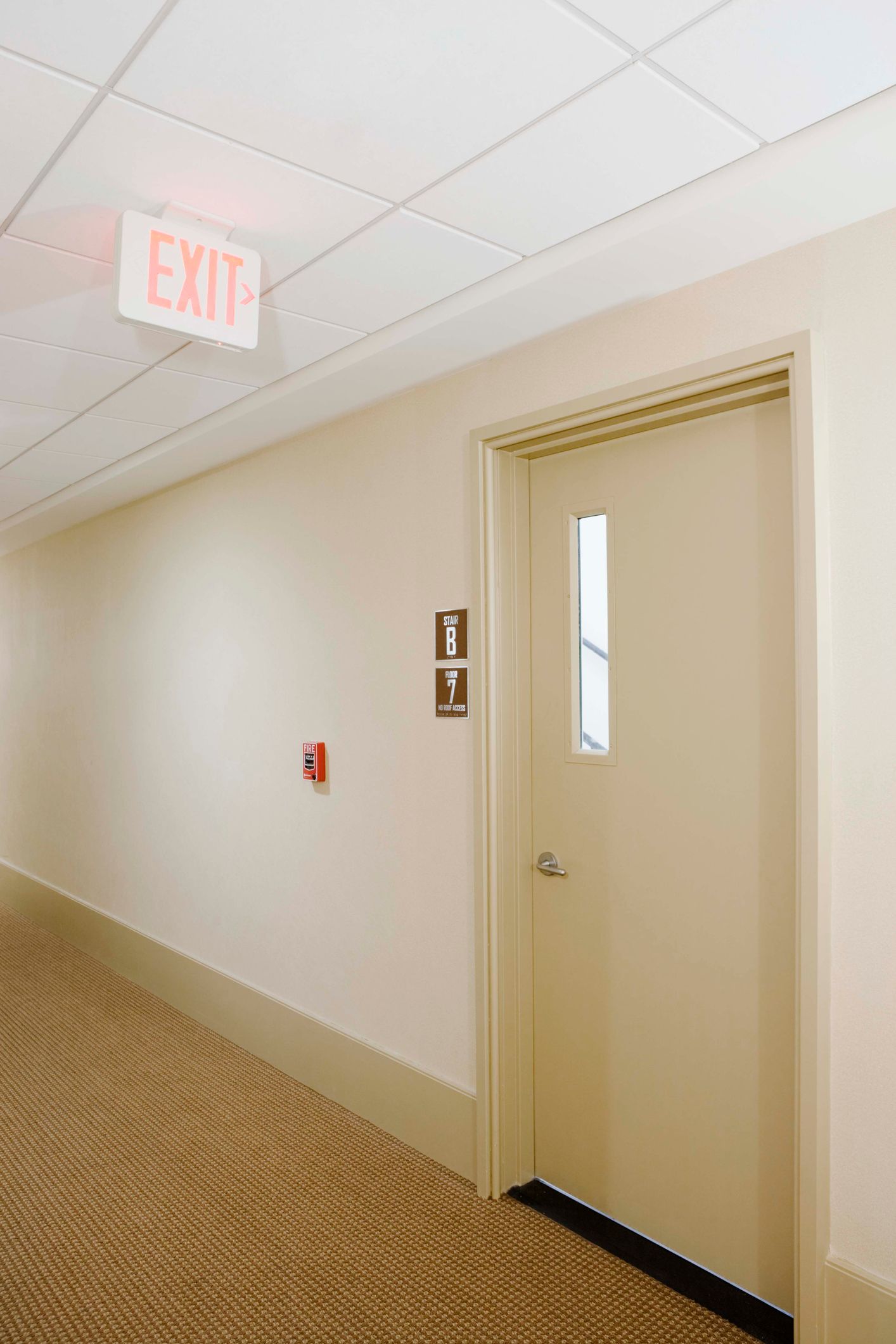 Hallway with exit sign, fire alarm, and door with window. Beige walls, patterned carpet, and white ceiling.
