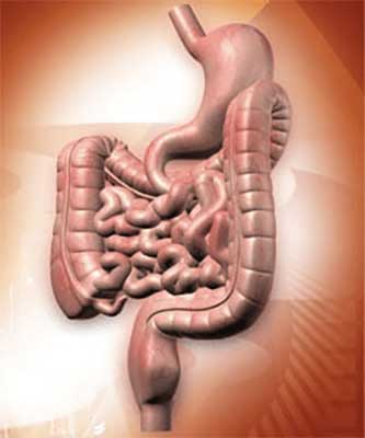 médico cirujano gastroenterólogo