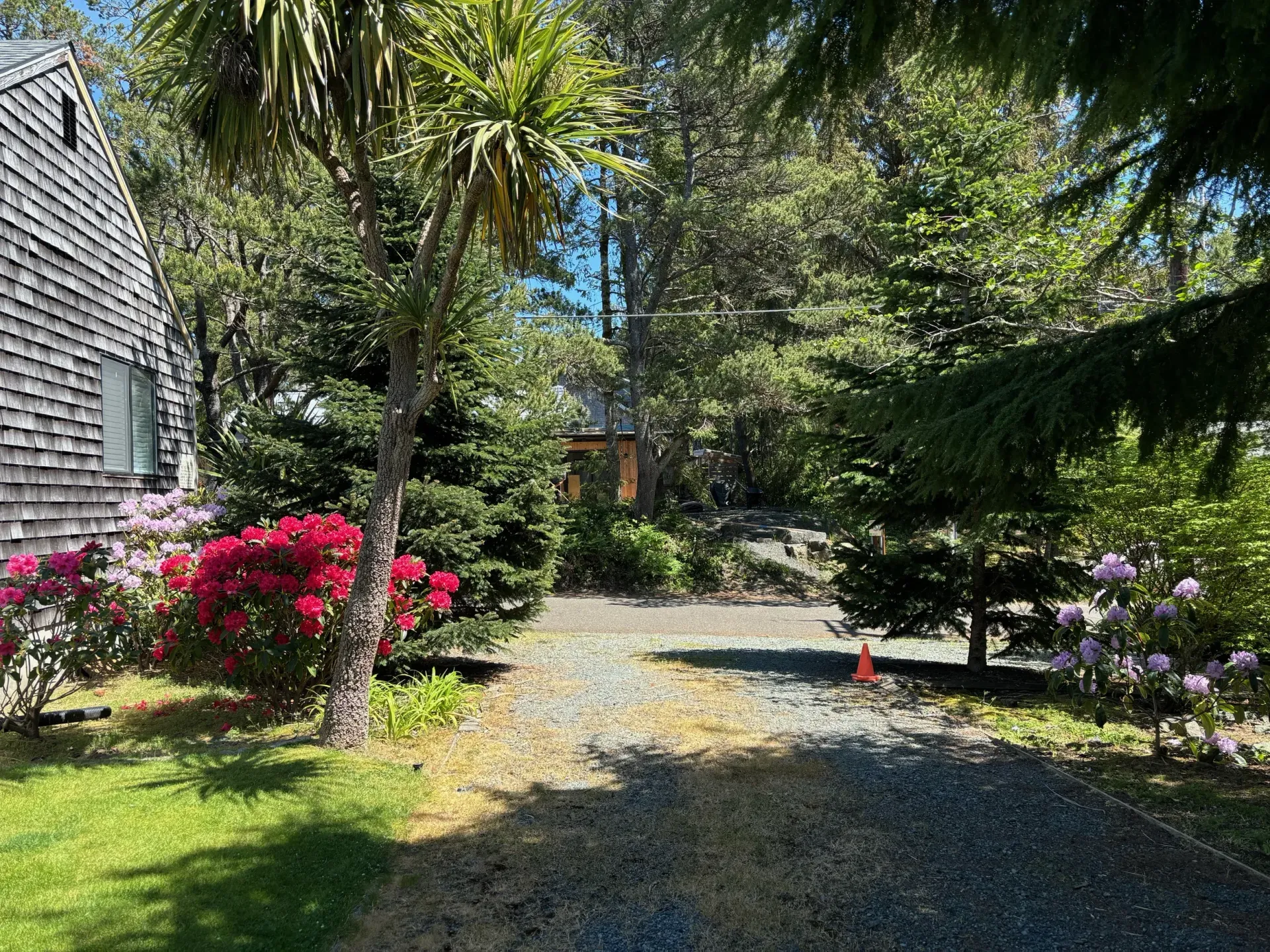 A driveway leading to a house surrounded by trees and flowers.
