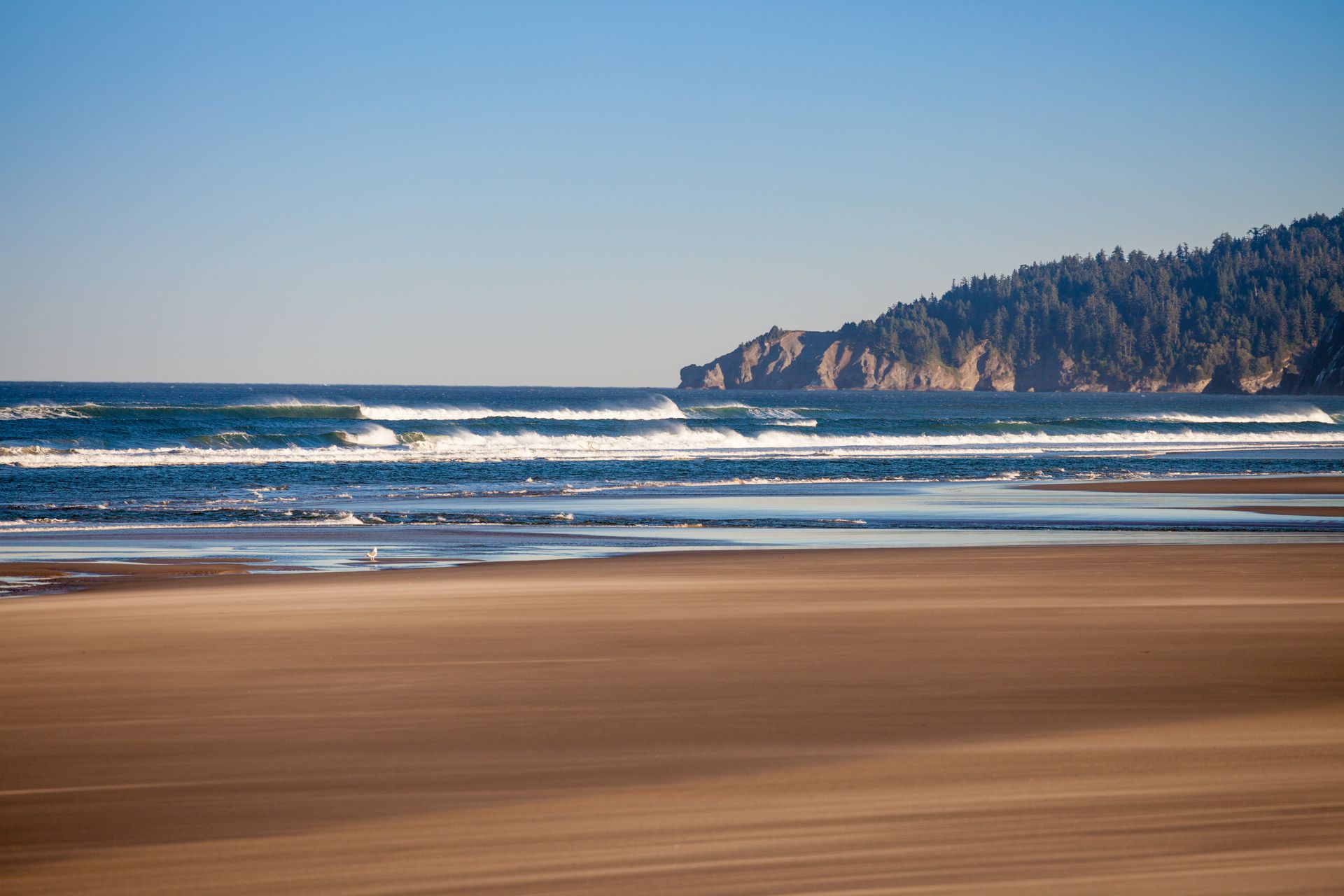A beach with waves coming in and a mountain in the background.