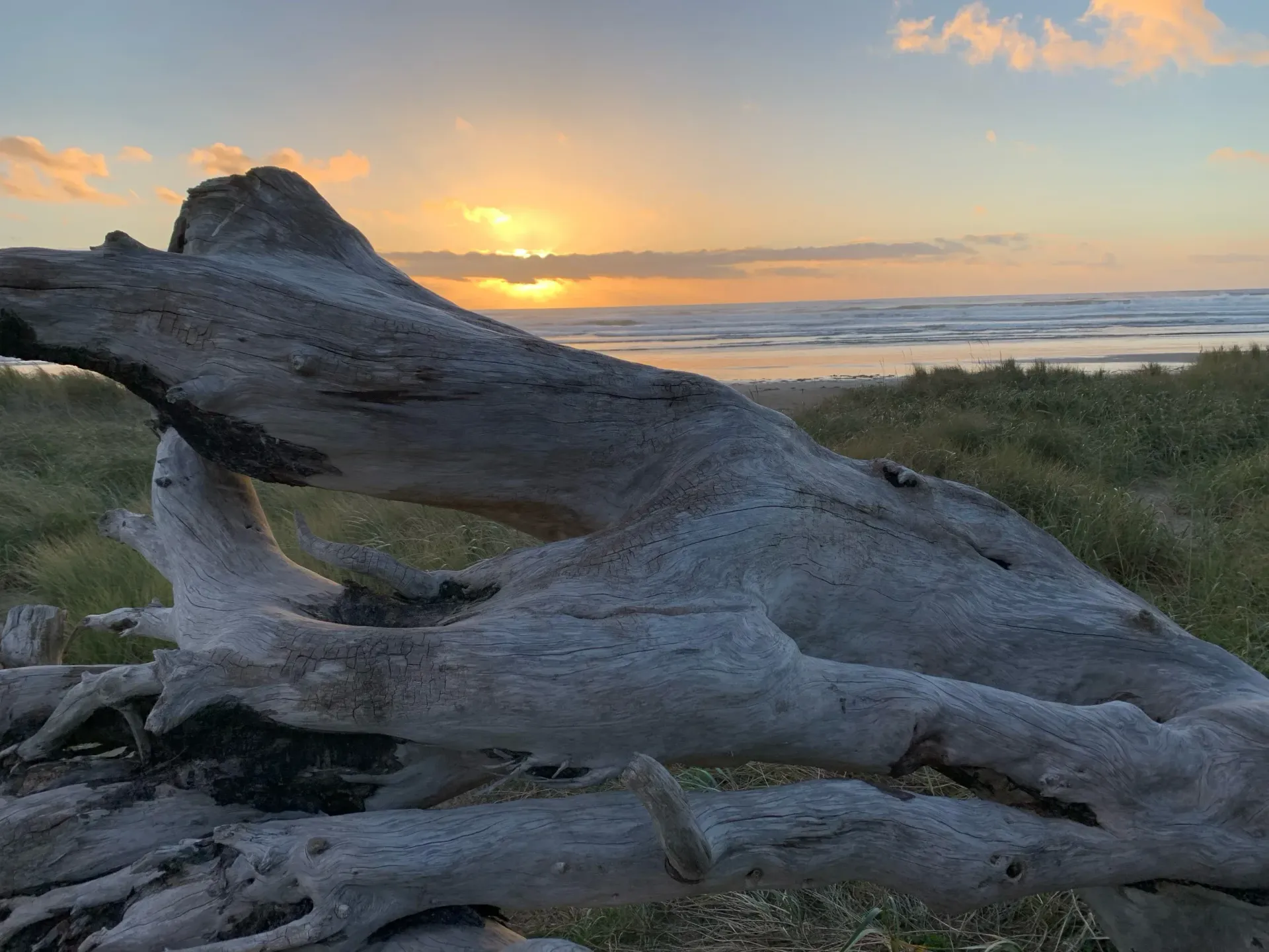 A large piece of driftwood is sitting on the beach at sunset.
