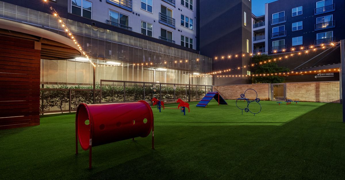 The night view of the dog park at The Standard at Domain Northside with obstacles, offers pet-friendly apartments near The Domain Austin.