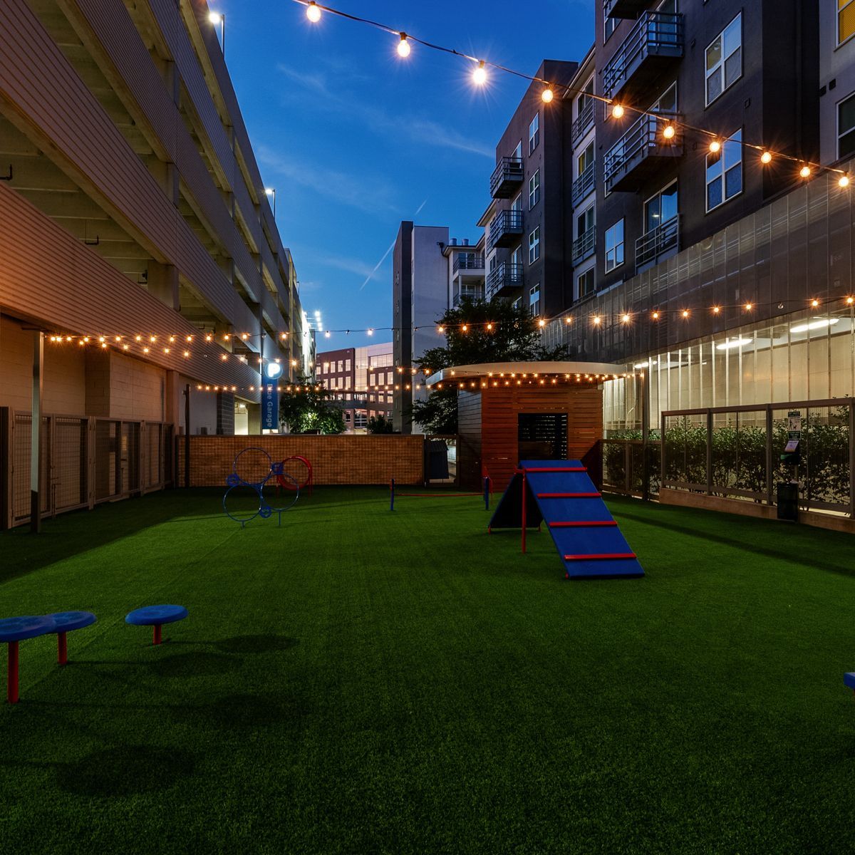 The night view of The Standard at Domain Northside outdoor dog park with beautiful lighting in Austin, TX.