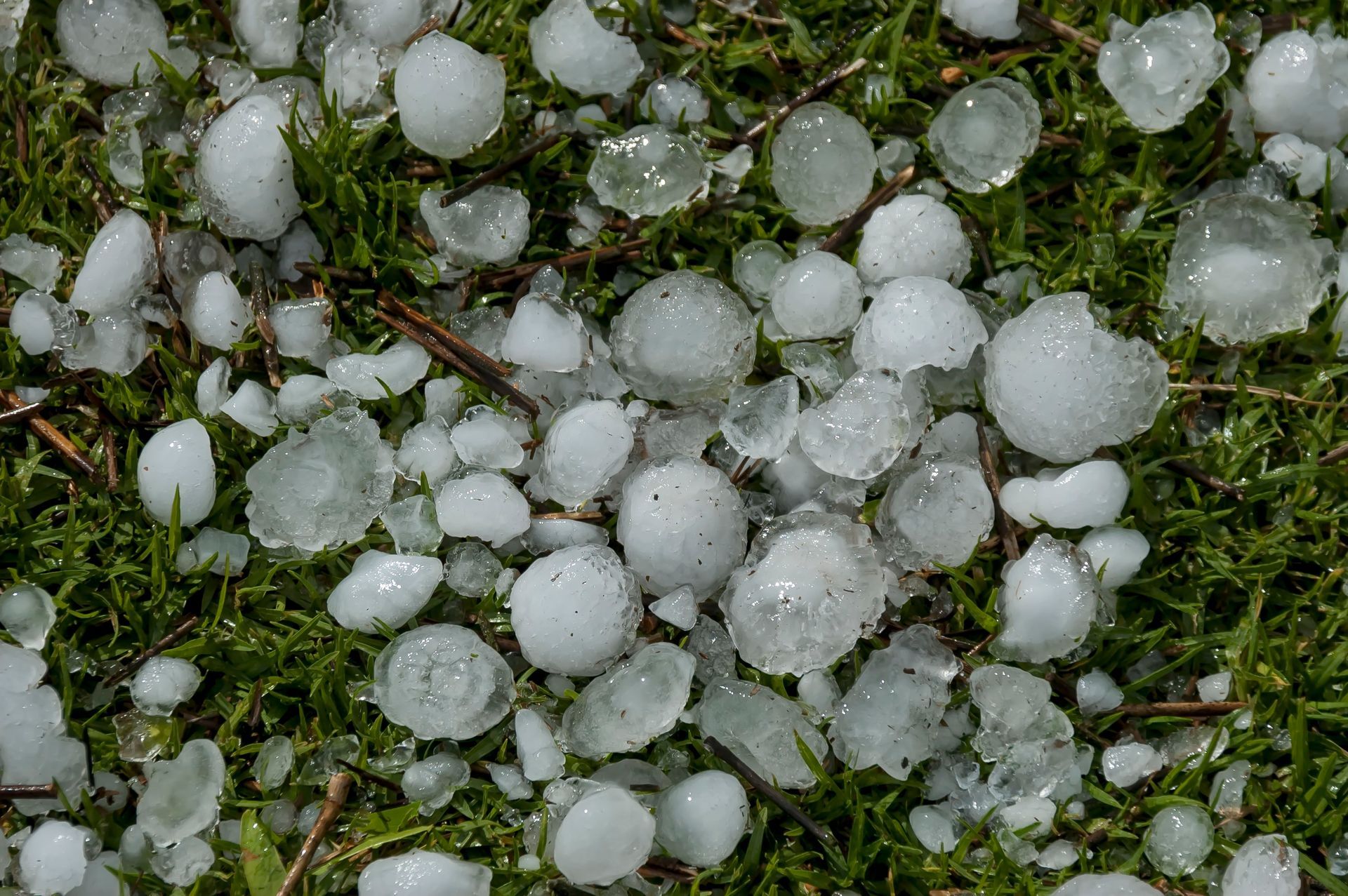 A pile of hail is laying on the grass