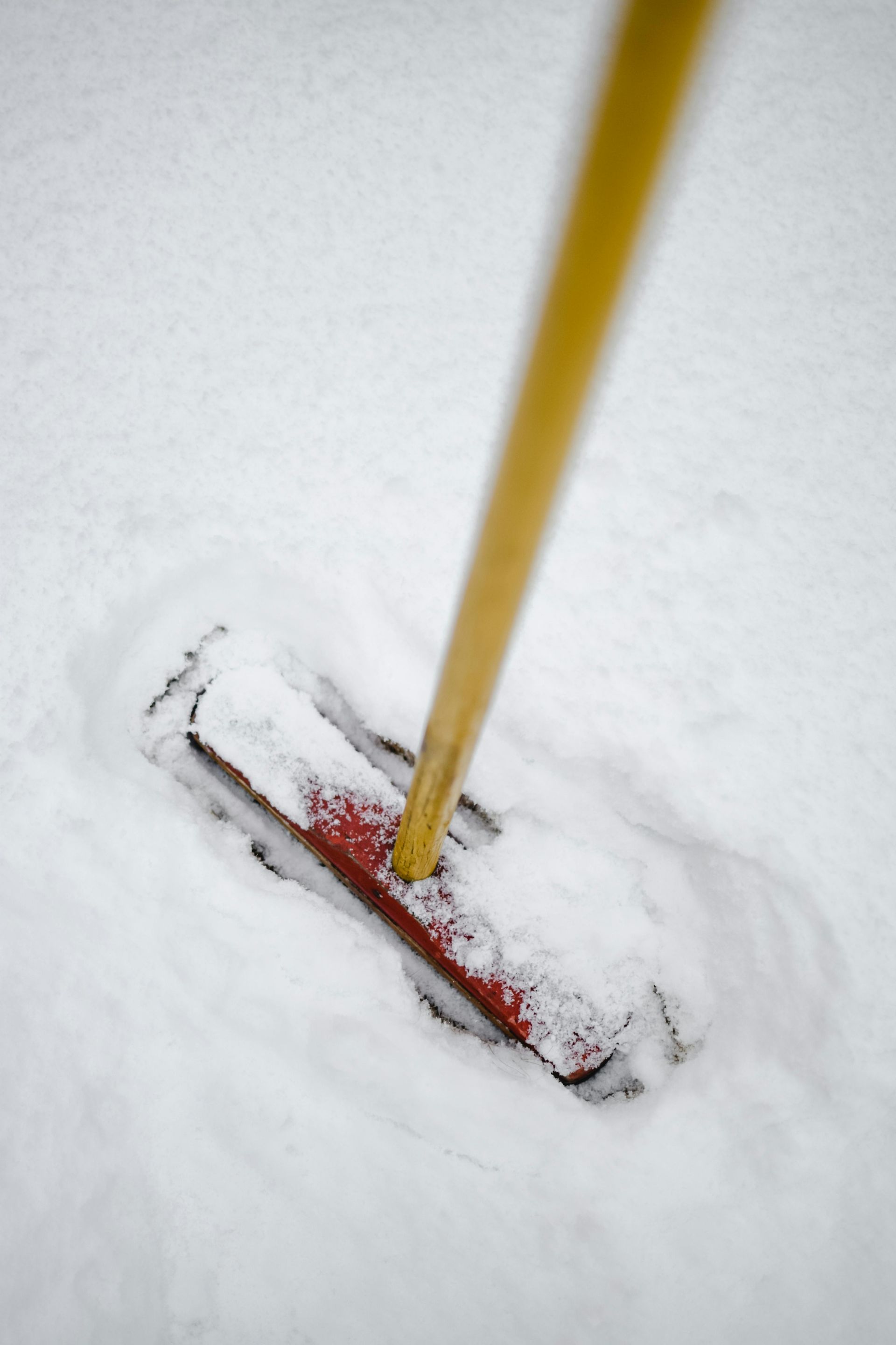 Snow shovel with red blade and yellow handle clearing fresh snow.