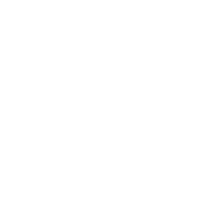 Marlborough Flyer Logo
