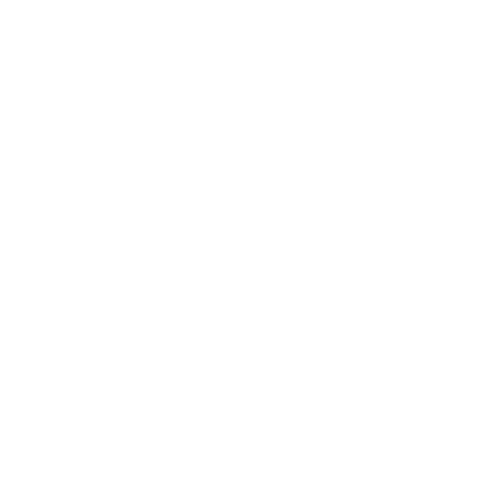 The Sir Edmund Hillary Explorer Logo