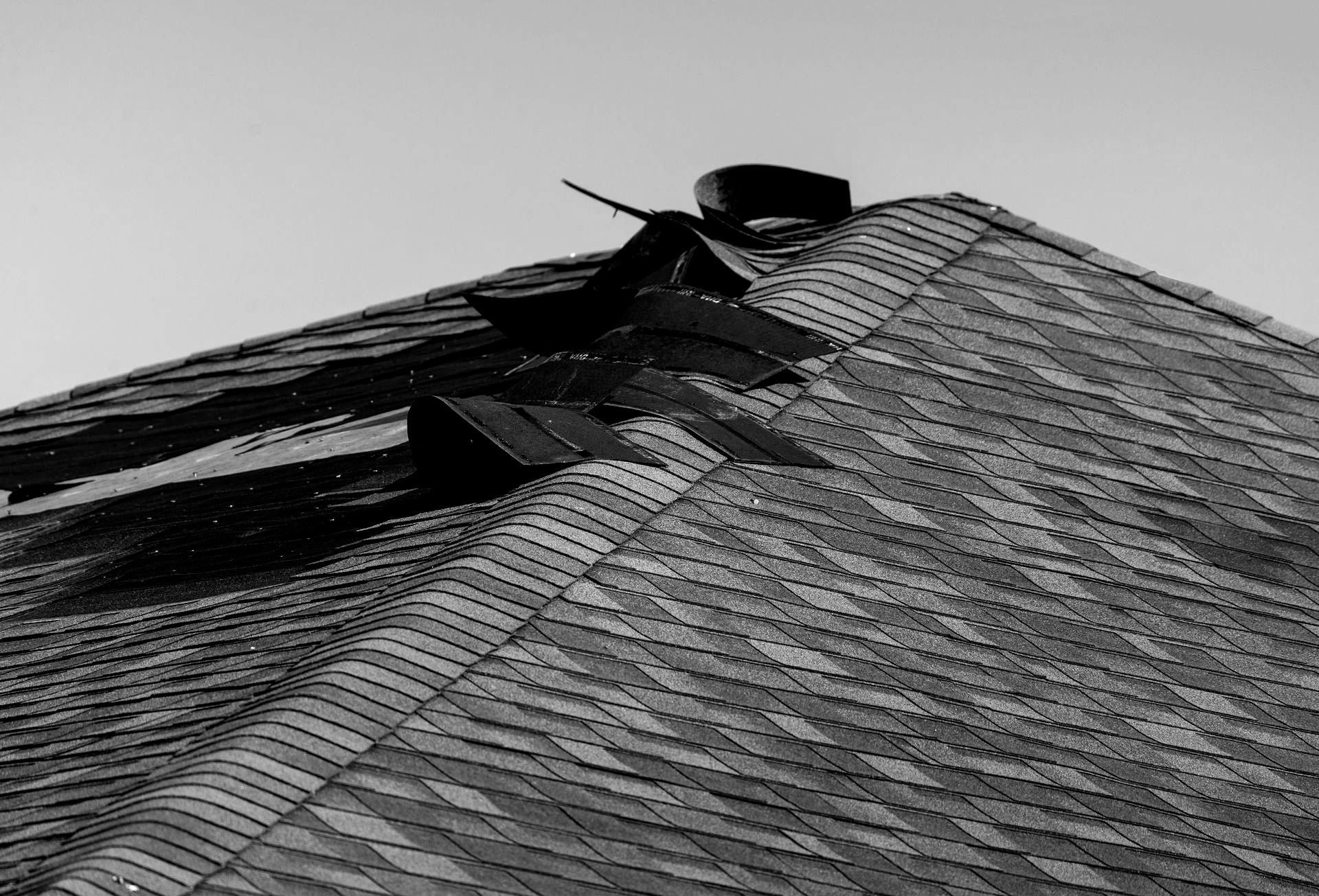 A black and white photo of a roof with a bird on it