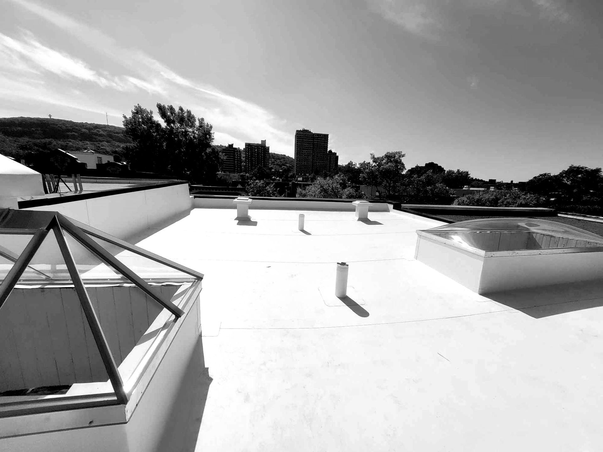 Une photo en noir et blanc d'un toit blanc