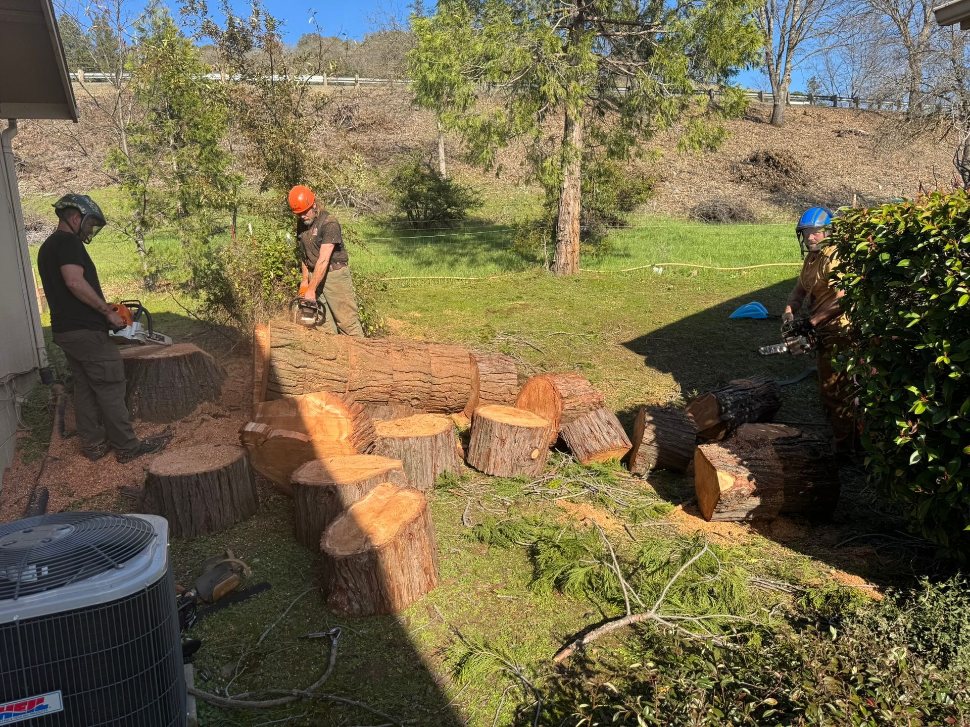 Stump Removal Experts: Same-Day Grinding for Residential & Commercial Properties in 2026