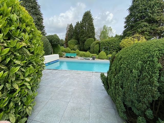Une piscine entourée d'arbres et d'arbustes dans un jardin
