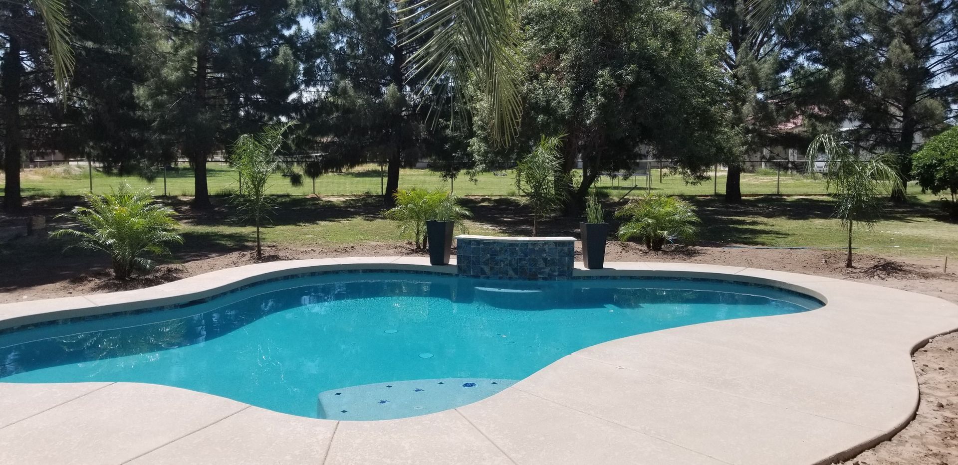 A large swimming pool is surrounded by trees and a concrete patio.
